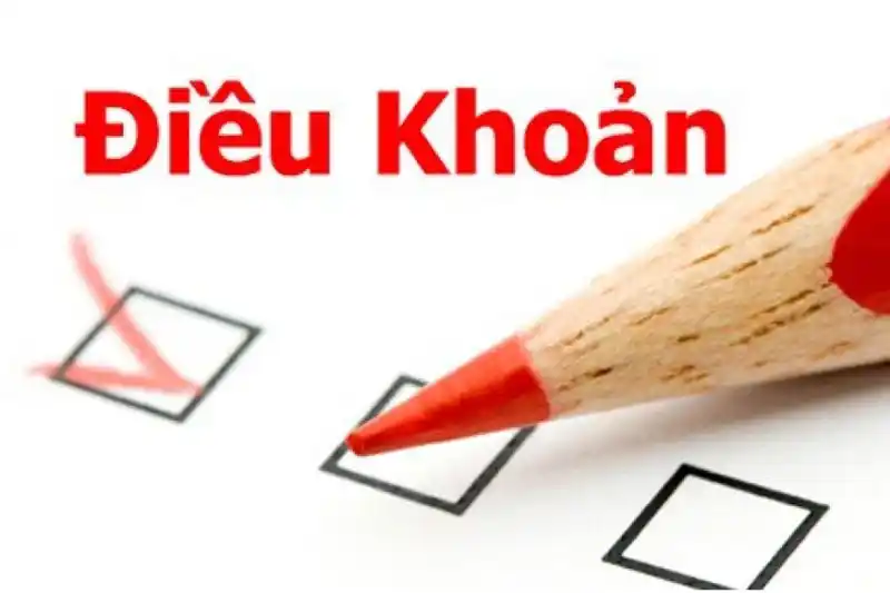 Tìm hiểu về điều khoản trang cá cược bóng đá